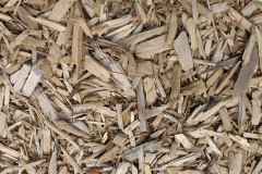 biomass boilers Tugnet